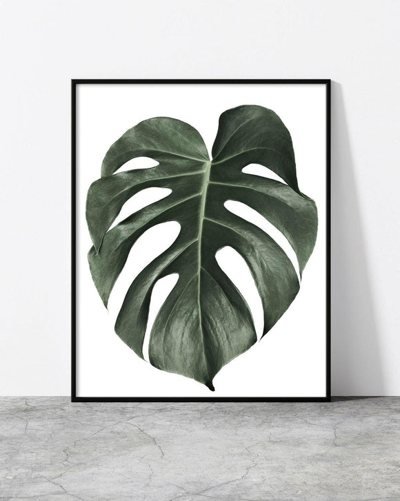 Minimalist framed print of a large monstera leaf on a white background, blending bold nature with clean design.