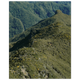 1f2c31b5-1405-4155-9912-adf98d76d91f