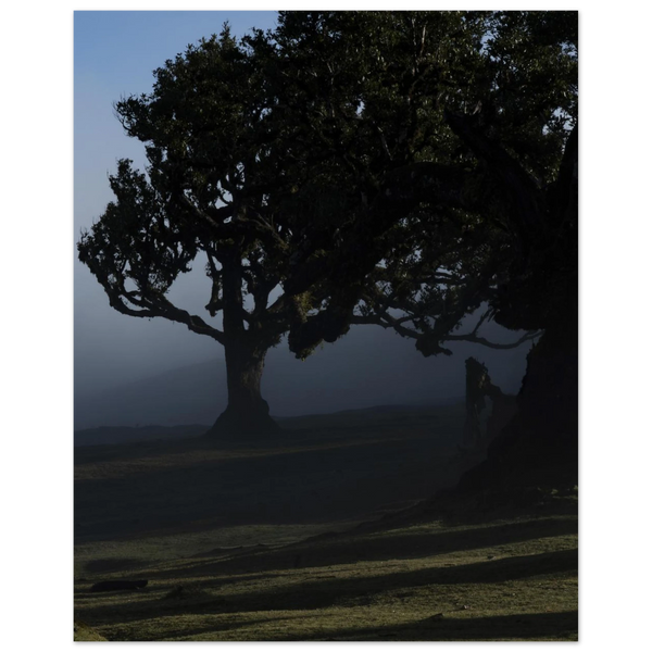 2da52736-3aad-4b35-b032-402a6349ead8