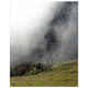 6e9e0d1c-5b3d-4a29-9e94-17ed1fa0a787