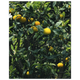 932bab04-01ff-43db-800e-dcd3660c8b47