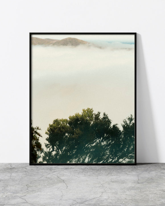 Zen wall art of a laurel treetop rising above a soft sea of cloud with a distant ridge, Madeira