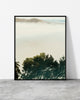 Zen wall art of a laurel treetop rising above a soft sea of cloud with a distant ridge, Madeira