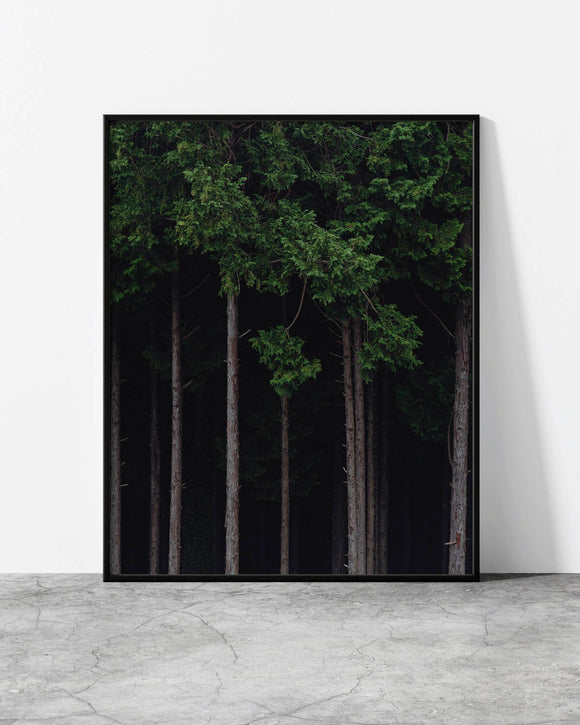 Minimalist forest print featuring tall trees with lush green foliage against a dark background.