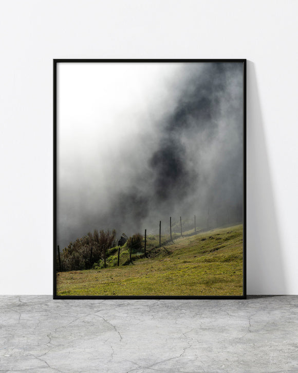 Foggy forest print of a wooded ridge dissolving into soft teal mist, Madeira