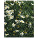 cd2dd241-c961-4b55-ab75-779e99660aac