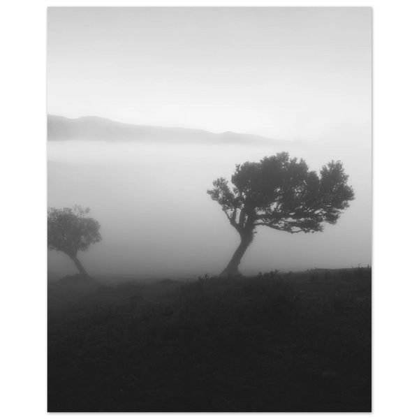 d0f944e5-1c09-4417-817b-75215a747461