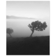 d0f944e5-1c09-4417-817b-75215a747461