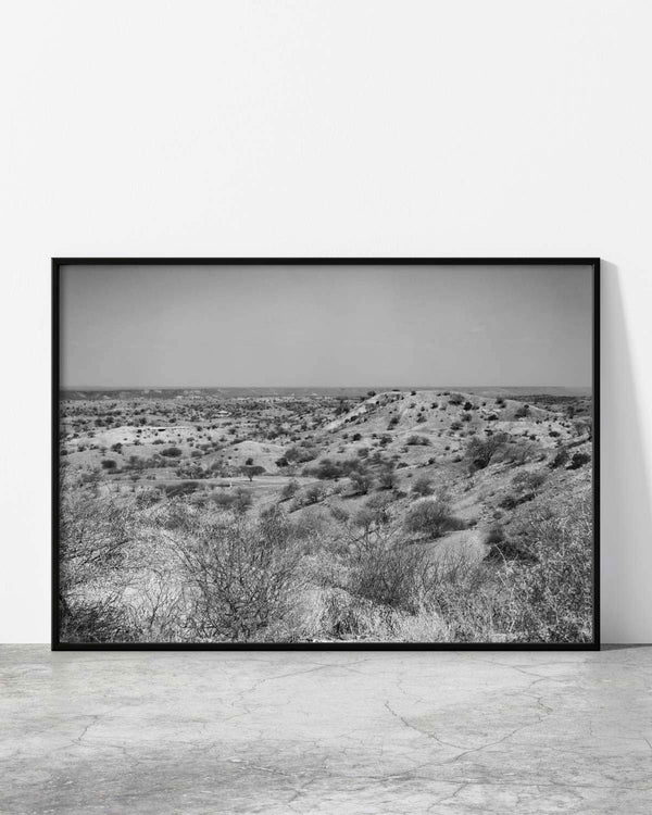 Serene desert-like scenery with rugged hills and scattered bushes in grayscale.