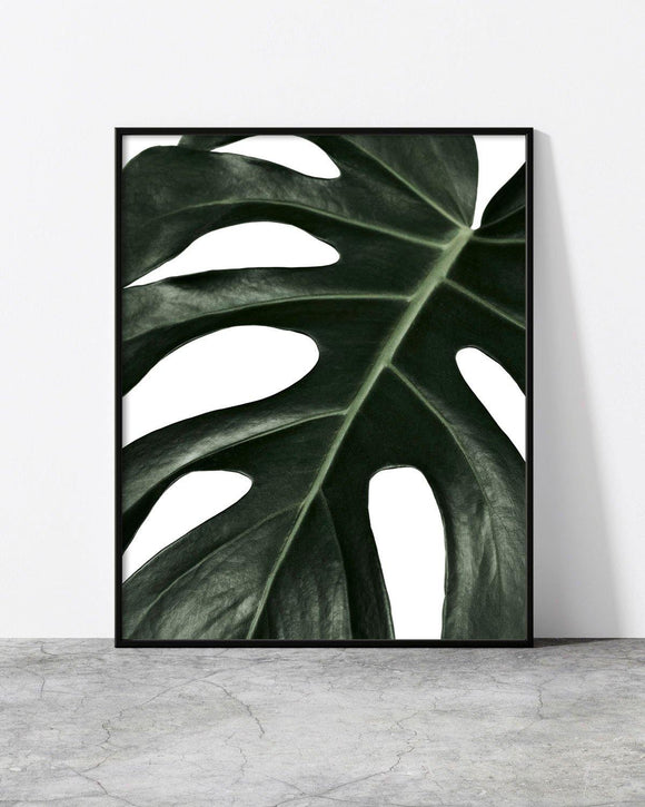 Close-up framed print of a dark green monstera leaf with bold textures and organic cutouts on a white background.