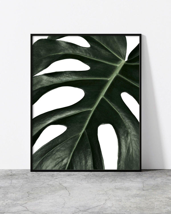 Close-up framed print of a dark green monstera leaf with bold textures and organic cutouts on a white background.