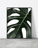 Close-up framed print of a dark green monstera leaf with bold textures and organic cutouts on a white background.