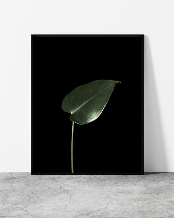 Contemporary botanical wall art featuring a delicate green leaf with striking lighting and deep shadows.