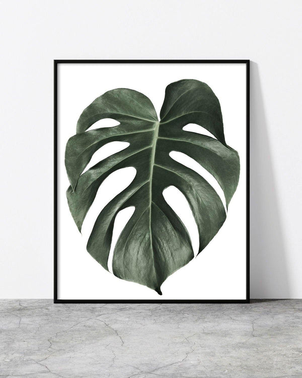 Minimalist framed print of a large monstera leaf on a white background, blending bold nature with clean design.