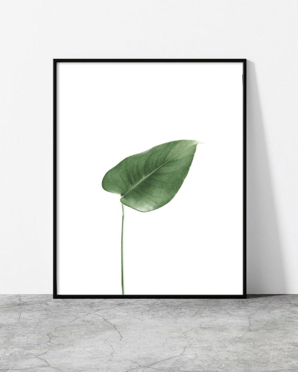 Minimalist framed print of a single green leaf on a white background, blending nature with modern design.