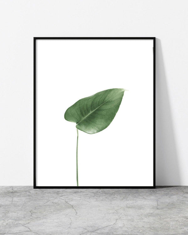 Minimalist framed print of a single green leaf on a white background, blending nature with modern design.